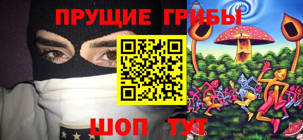 Заволжье  Галлюциногенные грибы мухоморы  Галлюциногенные грибы GOLDEN TEACHER  купить наркотик  Вход с VPN 