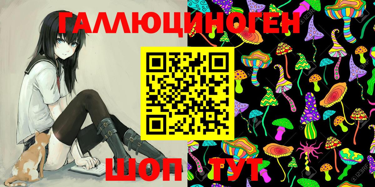 Галлюциногенные грибы Psilocybine cubensis Заволжье